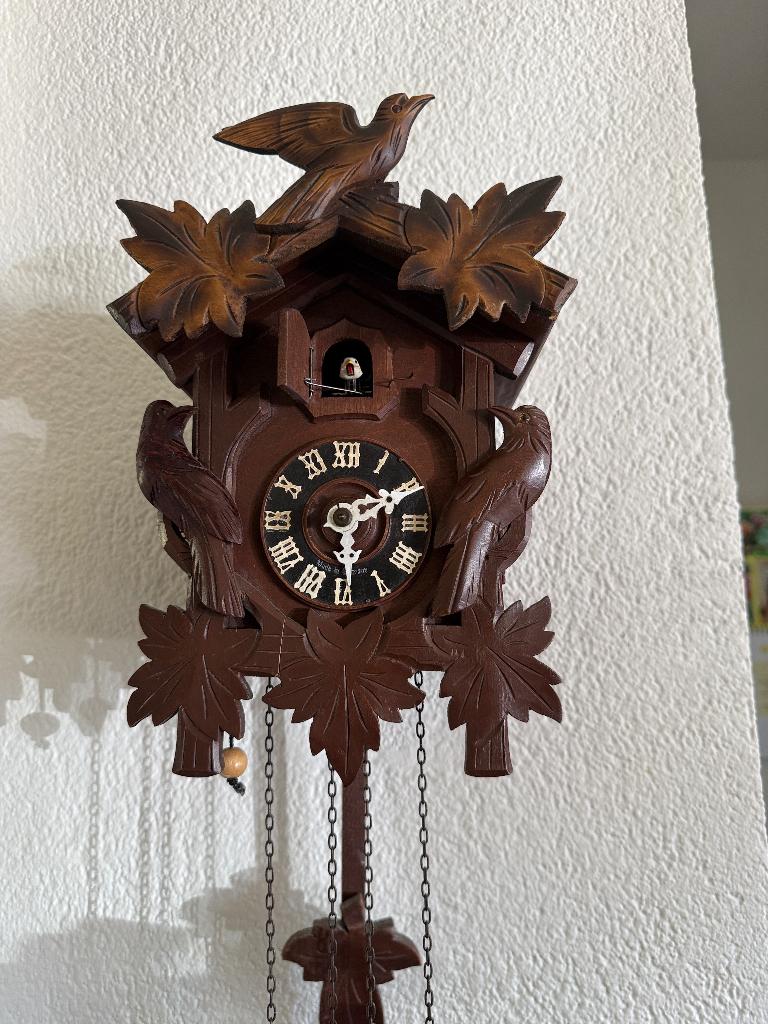 Koekoeksklok  Schwarzwald, Ophalen