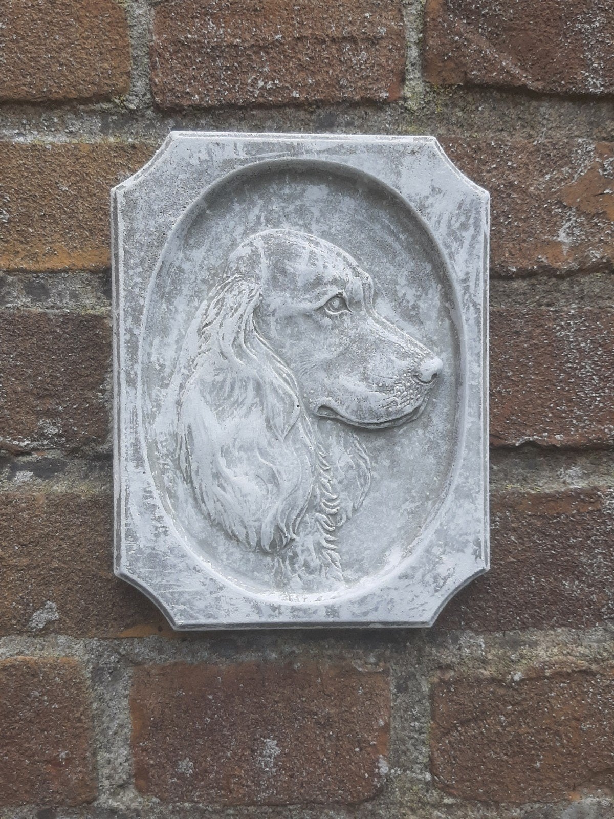 Cocker spaniel wanddecoratie betonnen beeld tuinbeeld beton, Ophalen of Verzenden