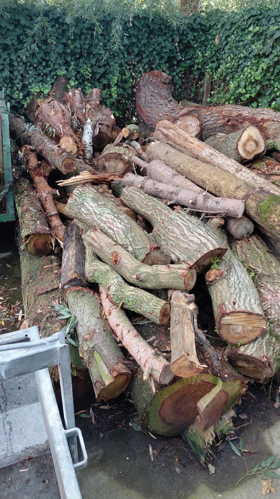 haardhout kachelhout stammen, 6 m³ of meer, Ophalen, Overige houtsoorten, Stammen