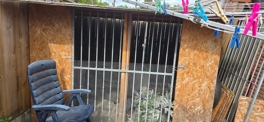 3  kennels, Ophalen of Verzenden, 110 cm of meer, 100 cm of meer