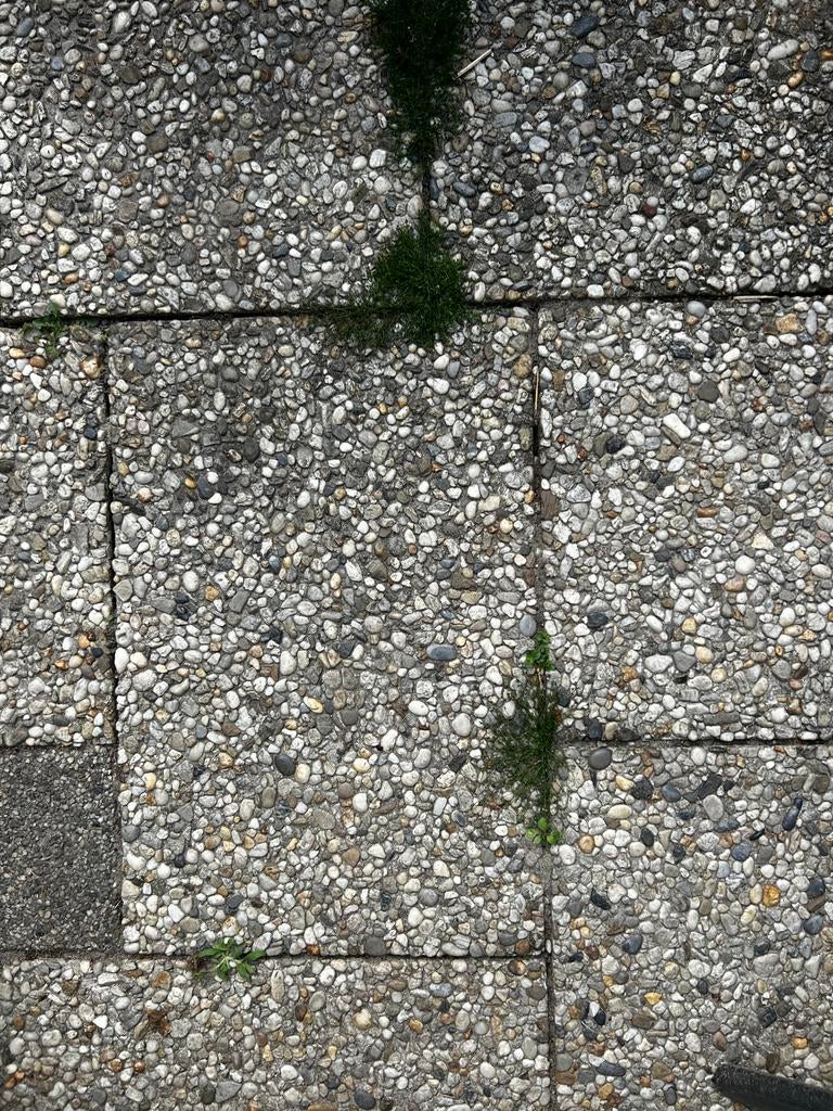 Greige Grindtegels 85 stuks gratis af te halen lelystad, Tuin en Terras, Tegels en Klinkers, Ophalen, Zo goed als nieuw, Beton