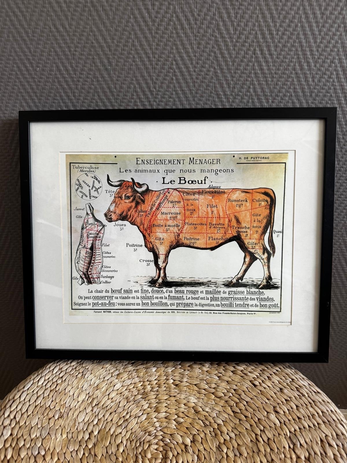 Vintage Schilderij: Anatomie van een Koe - Le Boeuf, Antiek en Kunst, Kunst | Schilderijen | Klassiek, Ophalen, Dieren, Print
