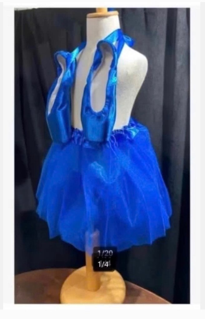 Blauwe Balletrok, blauwe Ballet spitzen, Overige typen, Ophalen of Verzenden, X, X