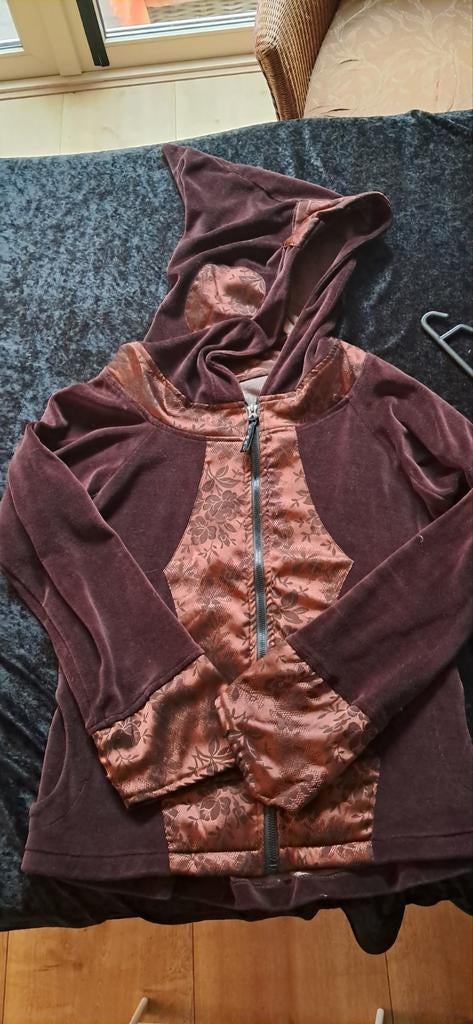 Nieuw Bruin Velours Vest met Rits en Puntmuts - Maat M, Ophalen of Verzenden, Nieuw, Maat 38/40 (M), Bruin