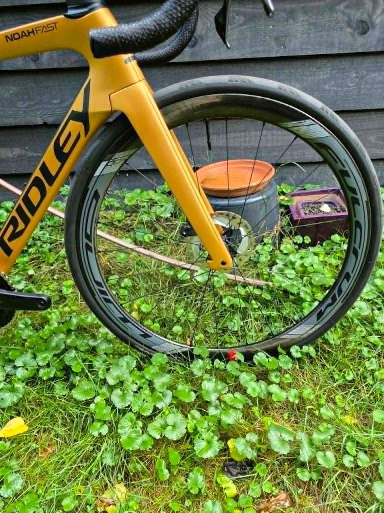 Nieuwe Ridley Noah fast, Overige merken, 28 inch, Carbon, Nieuw