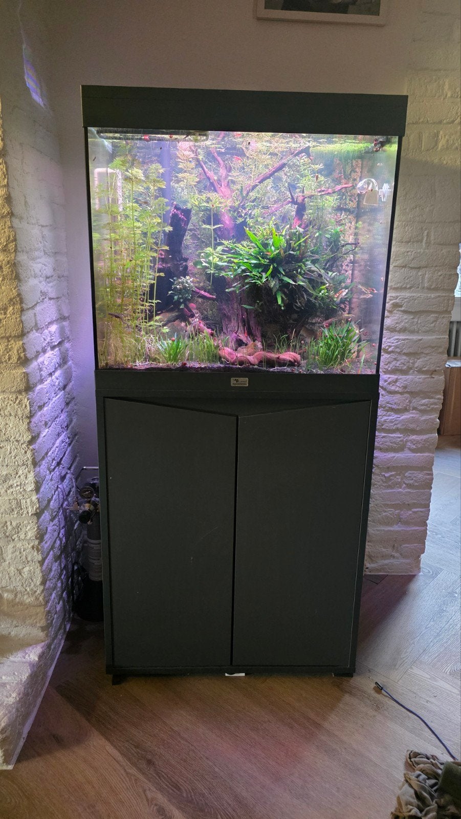 aquarium aqualantis met co2 systeem oase biomaster 250, Dieren en Toebehoren, Ophalen, Aquatlantis, Inclusief controller, Gevuld zoetwateraquarium