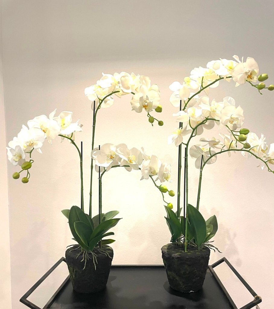 kunstplanten Orchidee, Volledige schaduw, Overige soorten, Ophalen of Verzenden, Minder dan 100 cm