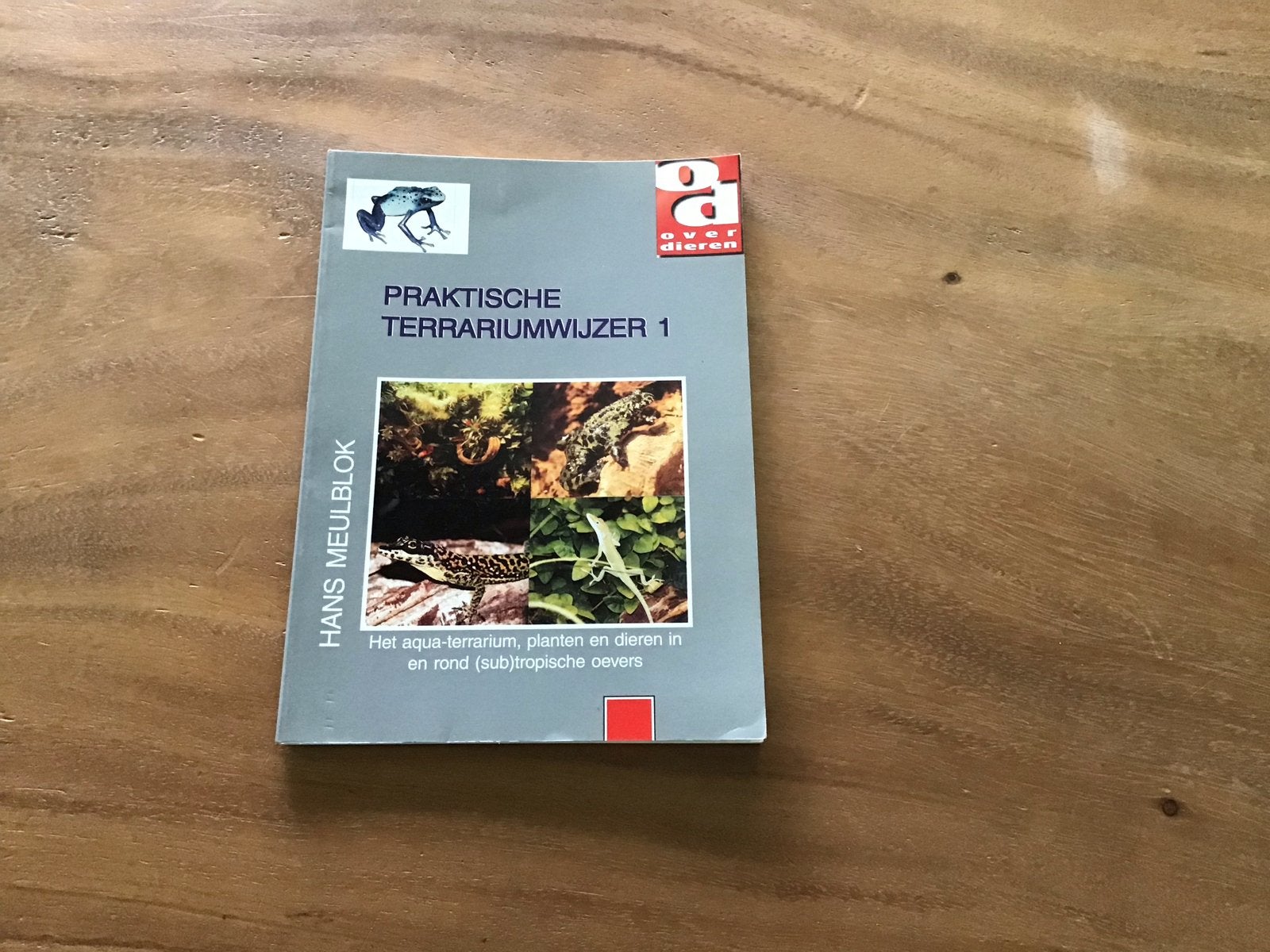 Praktische Terrariumwijzer 1 - Hans Meulblok, Verzenden, Gelezen
