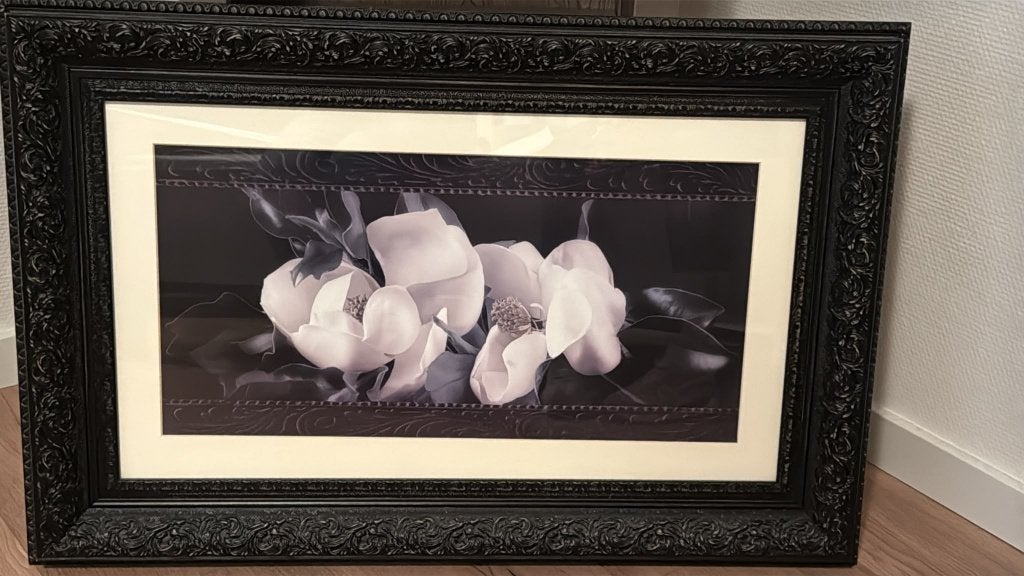 SCHILDERIJ BOTANISCHE KUNSTPRINT "MAGNOLIA IN BLOOM", Antiek en Kunst, Ophalen