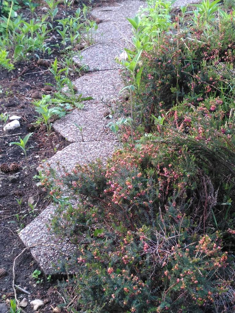 Grindtegels, Tuin en Terras, Ophalen, Gebruikt, Beton, Terrastegels