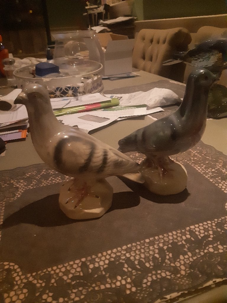glans beeldjes duiven, Meerdere dieren, Postduif