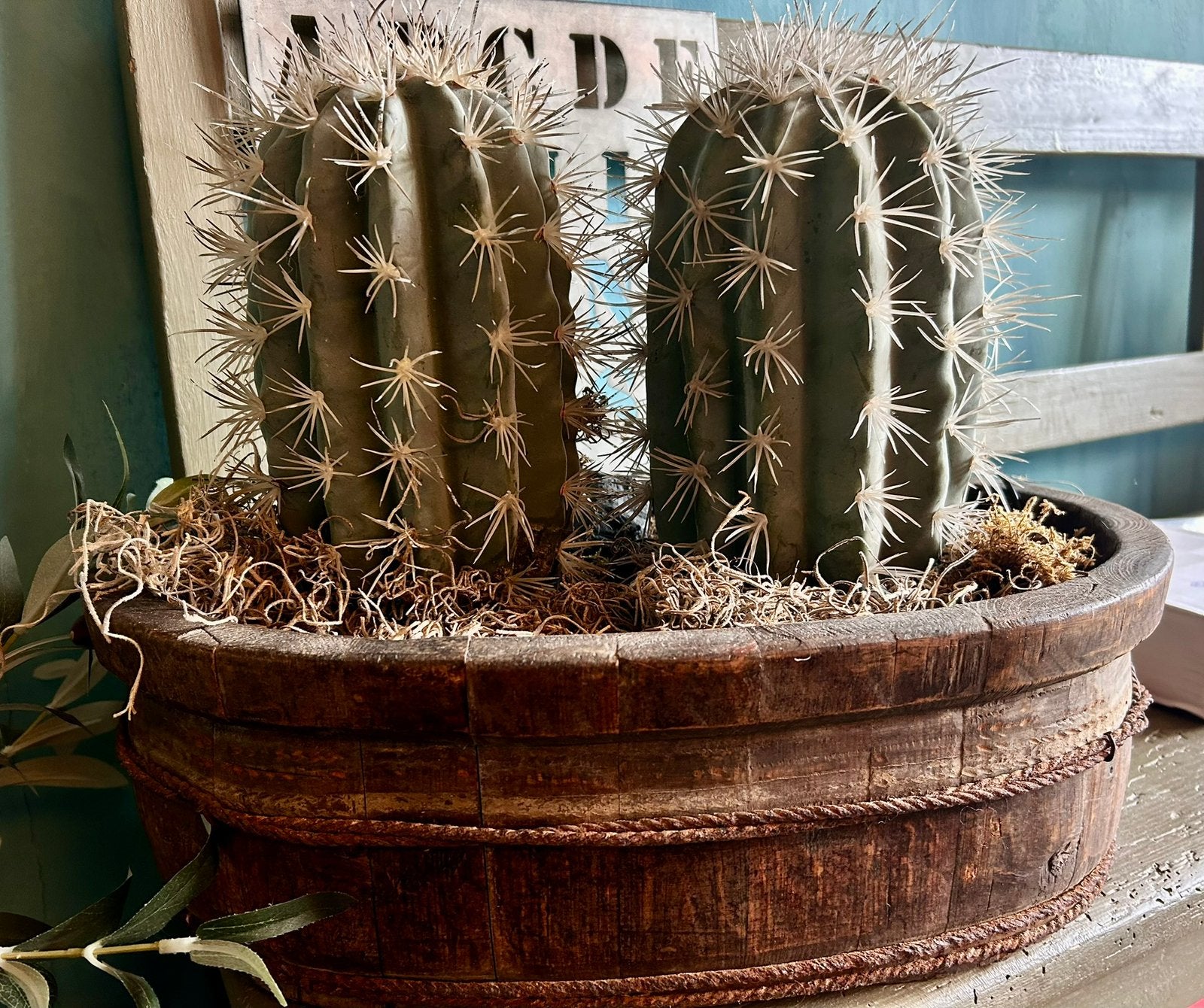 Oude ovale olijfbak zonder de 2 kunst cactussen, Binnen, Bruin, 15 cm, Ophalen of Verzenden