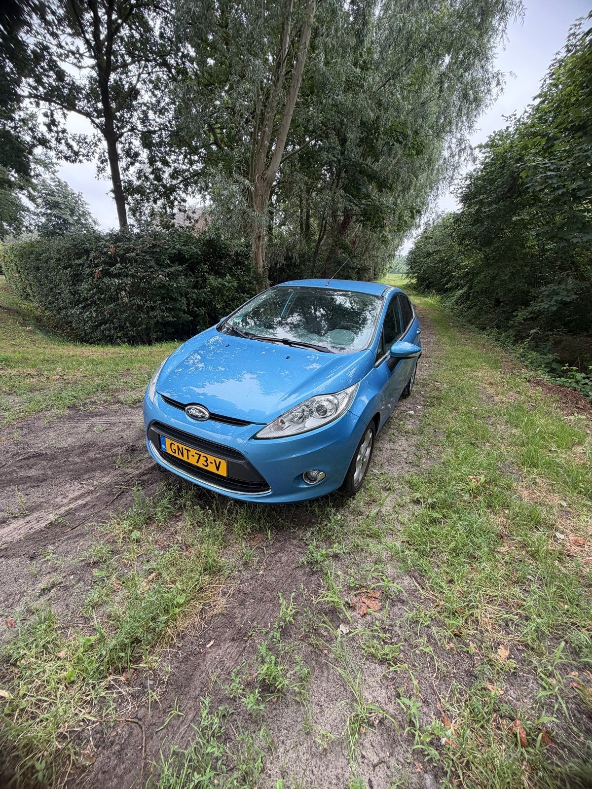Ford Fiësta 1.6 Tdci 5DR 2011 Blauw, Ophalen