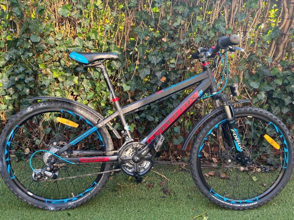 Stoere Jongens Mountainbike, Ophalen, Versnellingen, Schijfrem, Leader Fox