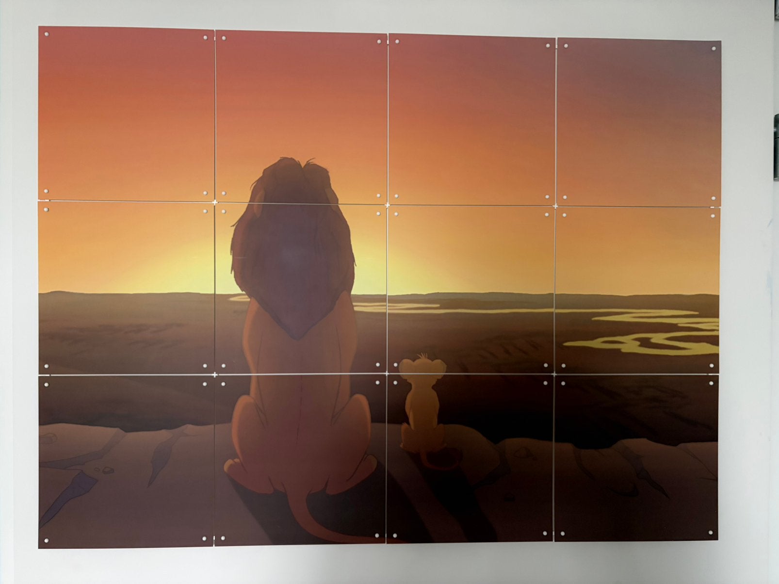 IXXI - the lion king, Ophalen of Verzenden, Film