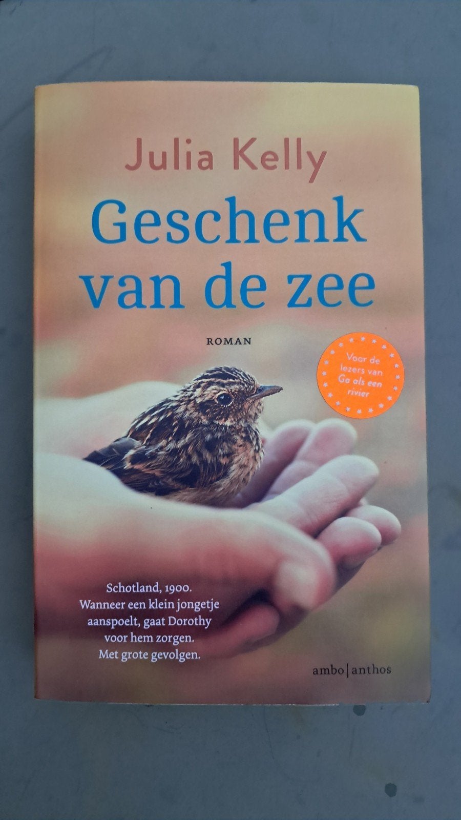 Geschenk van de zee - Julia Kelly, Boeken, Romans, Zo goed als nieuw, Europa overig, Ophalen of Verzenden