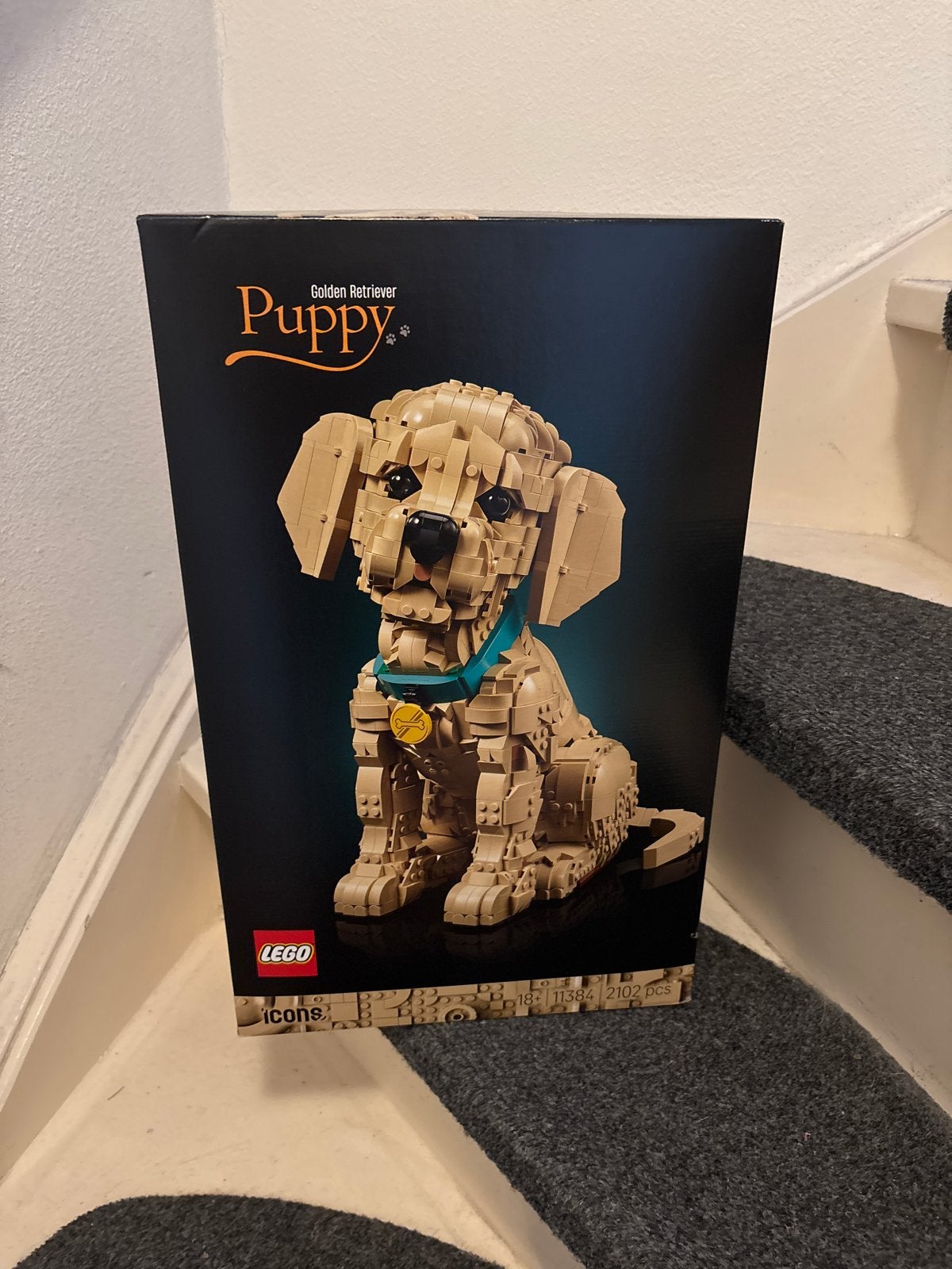 LEGO Icons Golden Retriever Puppy - Nieuw in doos, Lego, Nieuw, Ophalen of Verzenden, Compleet