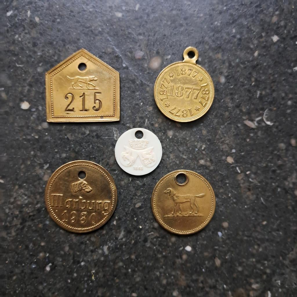 Oude hondenpenningen - verzameling van 5 stuks, Verzamelen, Ophalen of Verzenden, Gebruikt