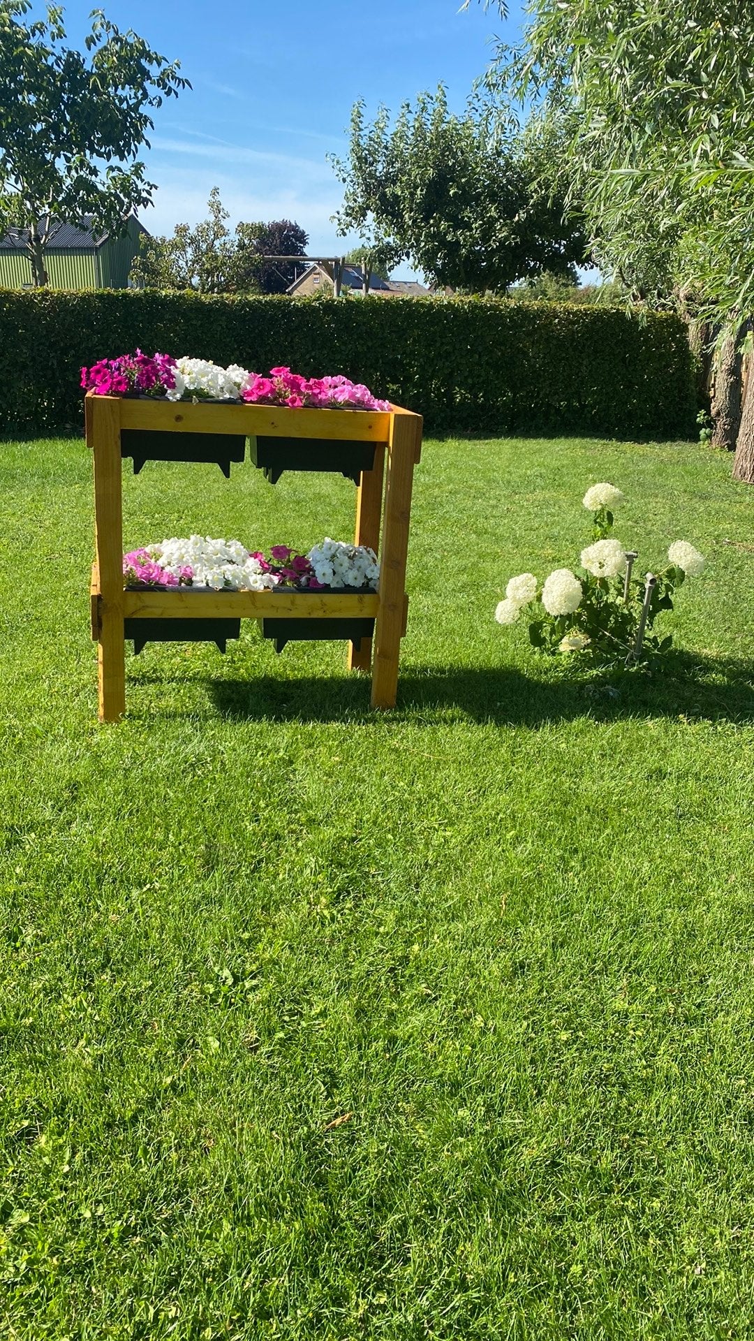 Plantenrek, Ophalen of Verzenden, Nieuw