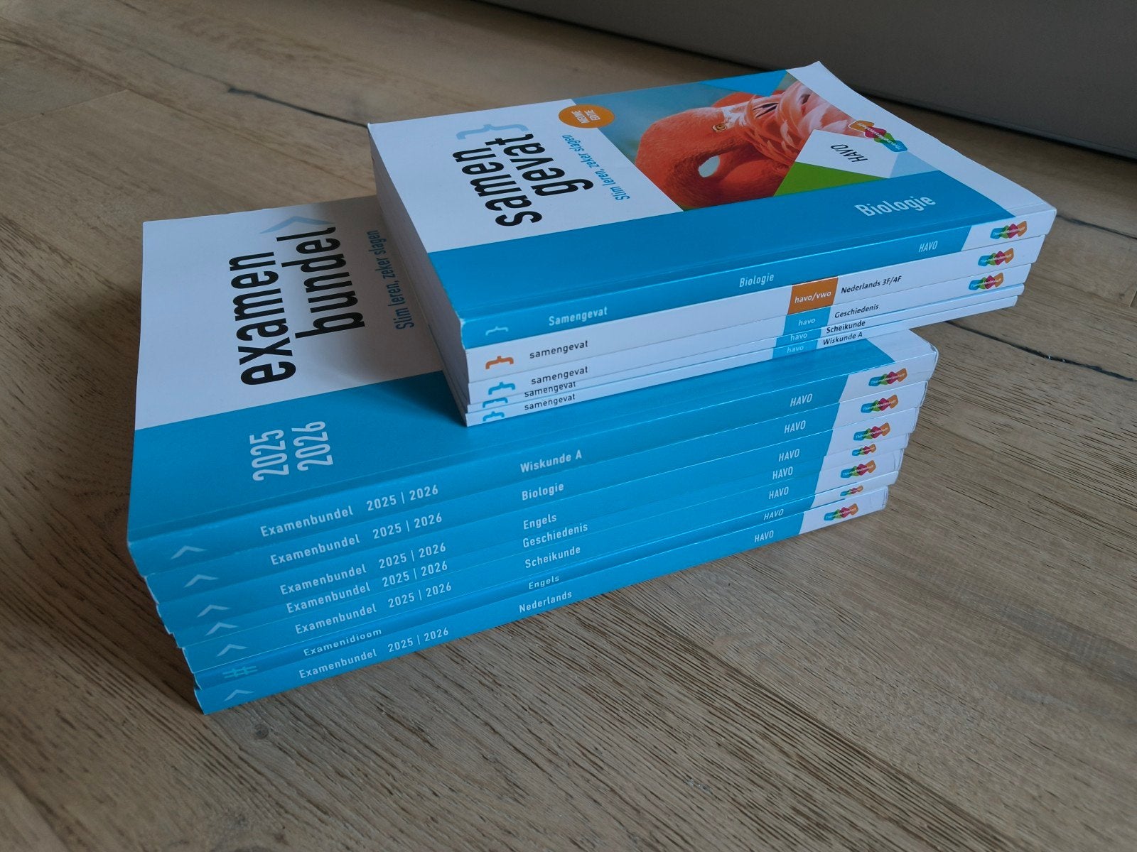 Examenbundels & Samengevat HAVO 2025-2026 (6 vakken), Boeken, Schoolboeken, Ophalen of Verzenden, Zo goed als nieuw, HAVO, Nederlands