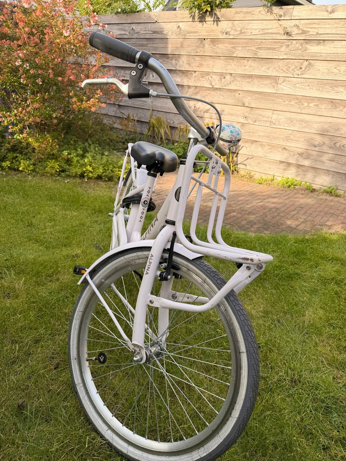 Foto 4 van Alpina kinderfiets 22” met voordrager en bagagedrager