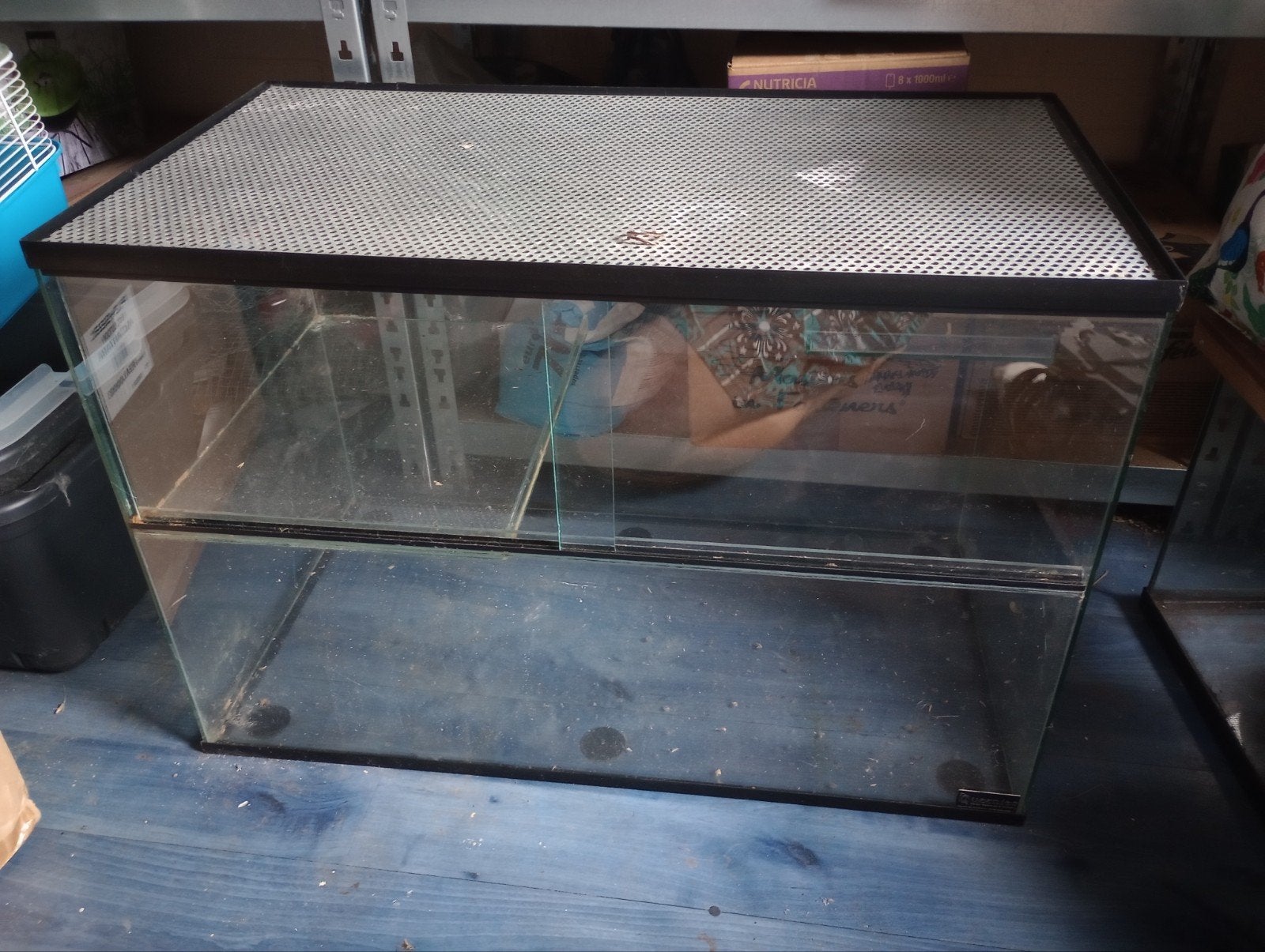 Gerbillarium, Dieren en Toebehoren, Gebruikt, Minder dan 75 cm, Muis, Hok