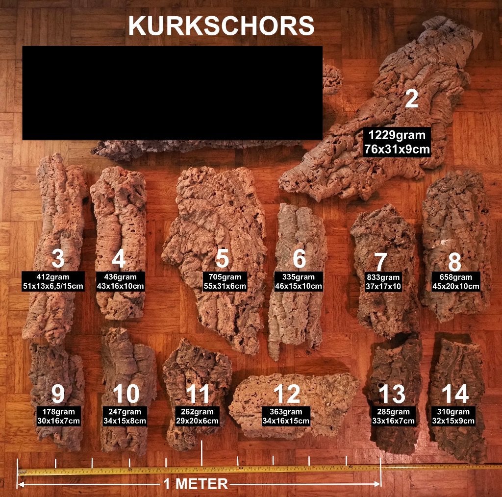 Prachtig Kurkschors (Kurk) schuilplaats Terrarium - Vivarium, Ophalen of Verzenden, Zo goed als nieuw, Tak, Plant, Rots of Steen