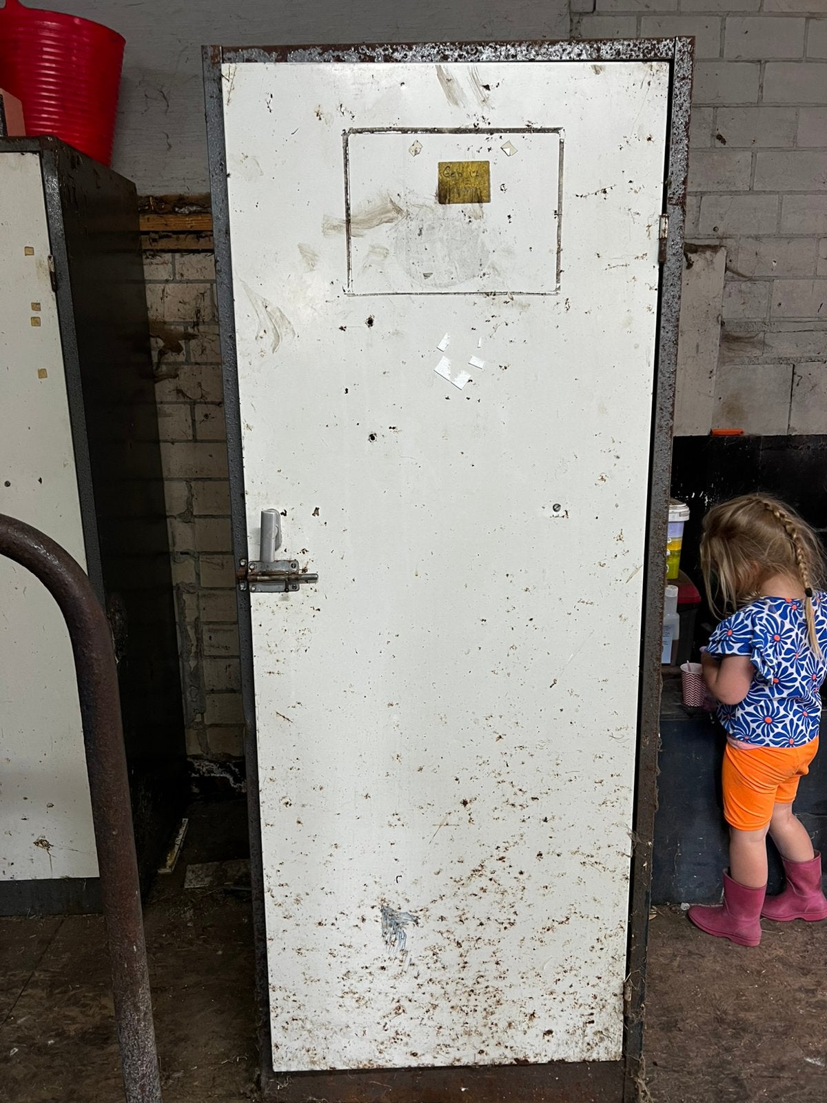 Locker/zadelkast, Dieren en Toebehoren, Ophalen, Gebruikt, Overige disciplines