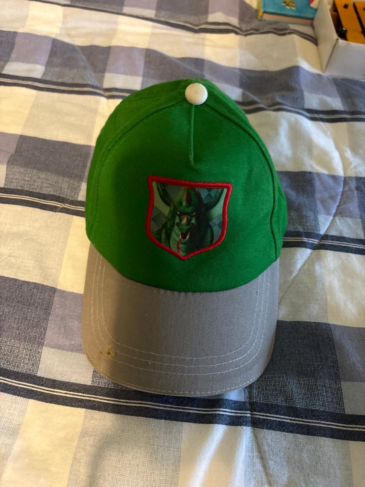 Groene pet met drakenlogo Efteling, Ophalen of Verzenden, Zo goed als nieuw, Jongen of Meisje, Overige typen