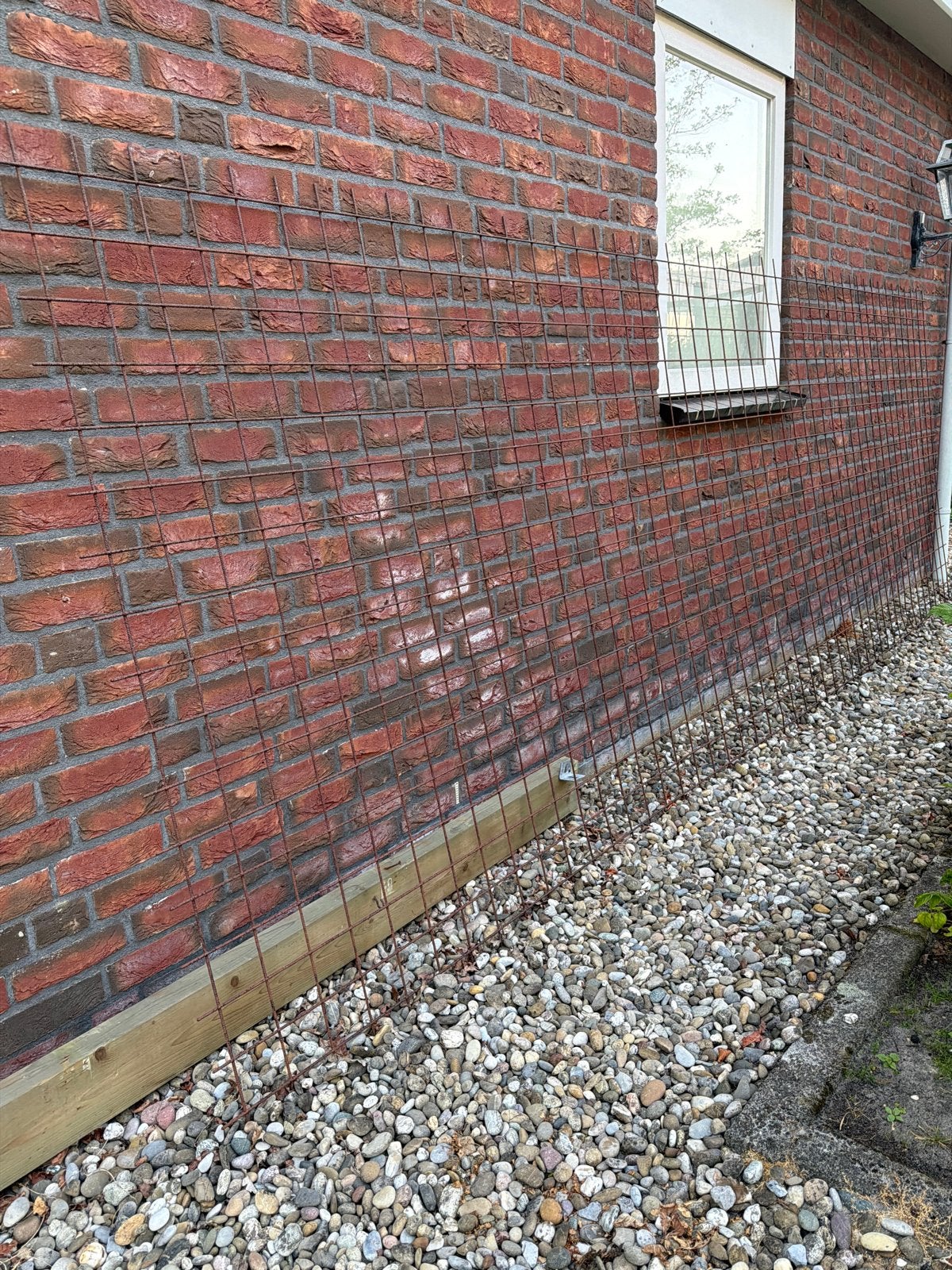 Betongaas 5m x 160cm, maas 10, Ophalen, Nieuw, Minder dan 10 meter, Gaas