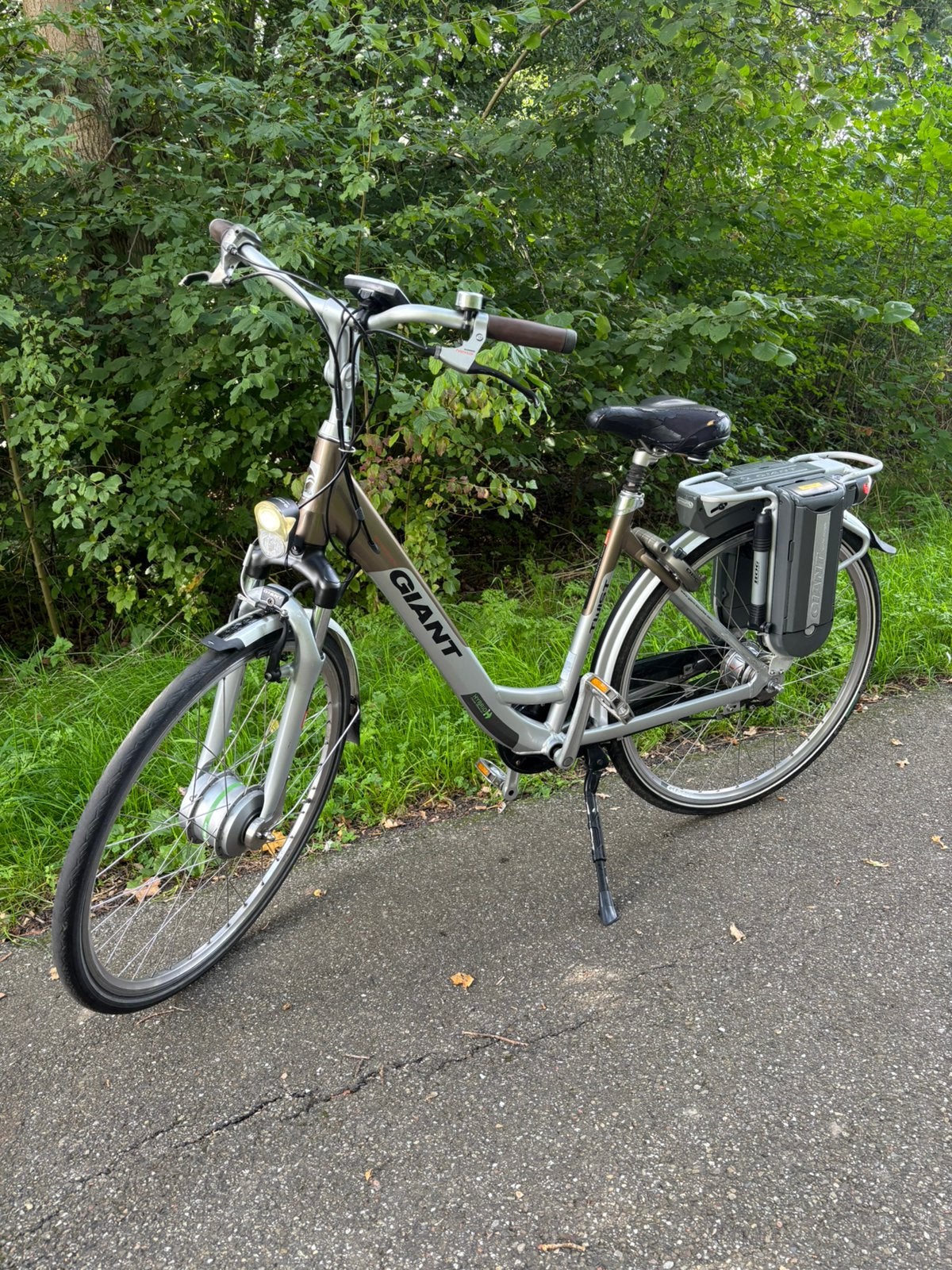 Elektrische Giant Twist Go Double Hybrid, Ophalen, Zo goed als nieuw, Giant