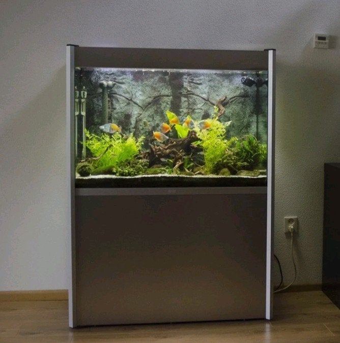 Fluval Profile 1000 Aquarium te koop, Ophalen, Zo goed als nieuw, Leeg aquarium, Fluval