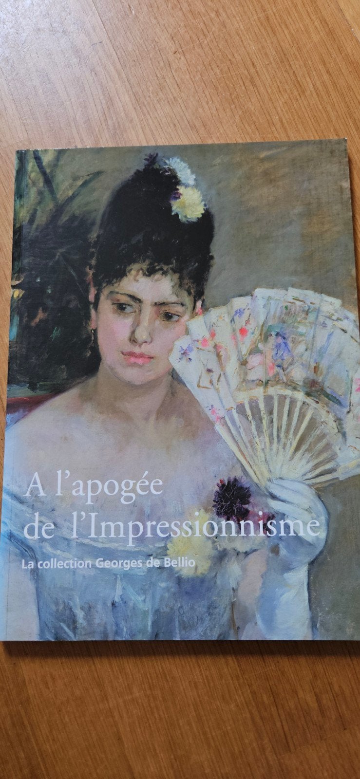 A l'apogée de l'Impressionnisme - Georges de Bellio, Boeken, Kunst en Cultuur | Beeldend, Zo goed als nieuw, Schilder- en Tekenkunst