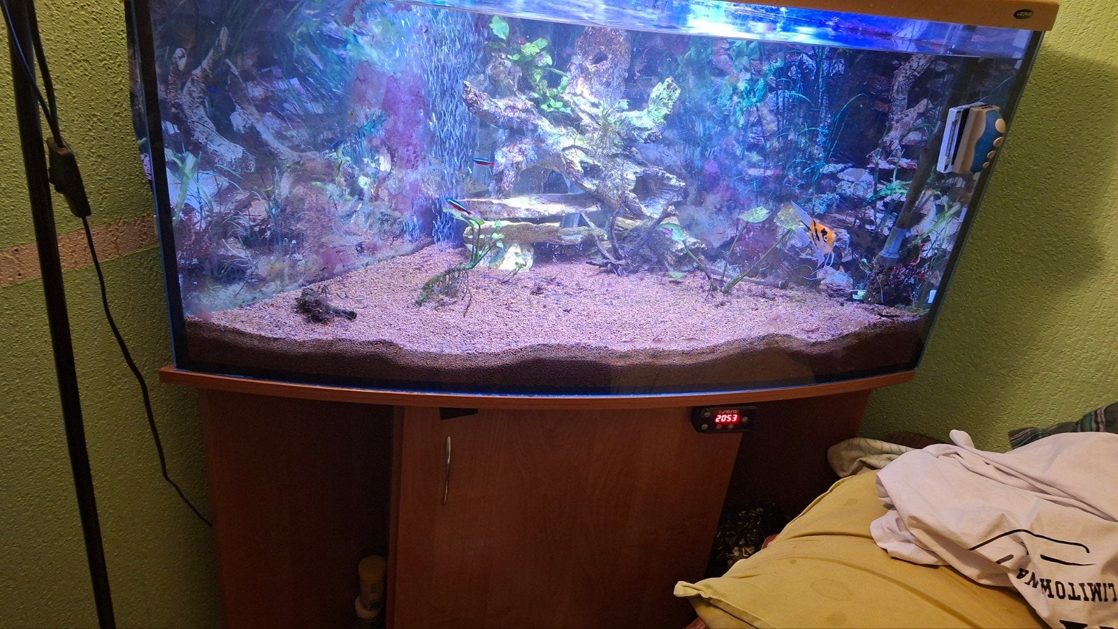 hoek aquarium te koop, Dieren en Toebehoren, Ophalen of Verzenden, App-bediening, Zo goed als nieuw, Filter