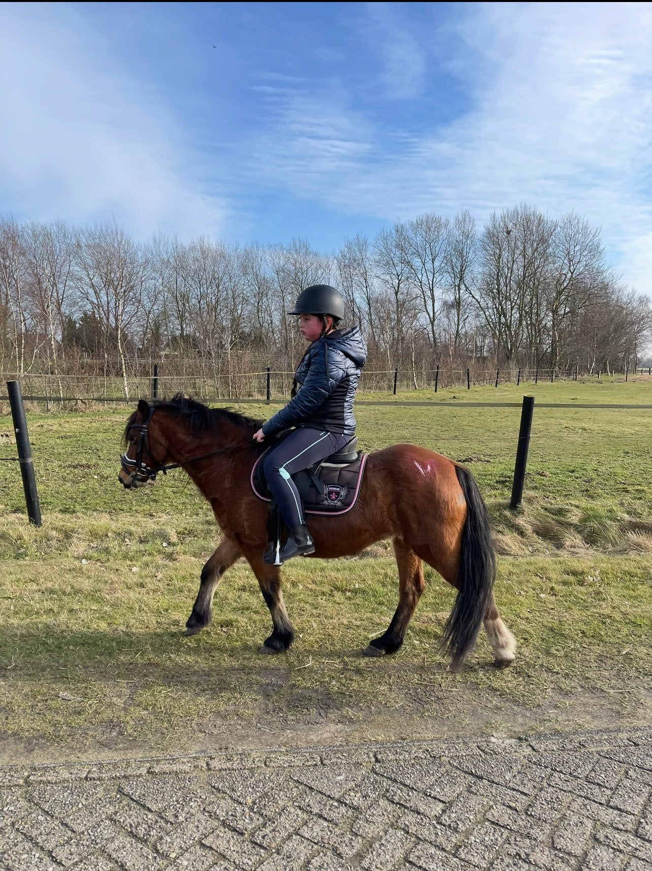 Super lieve B pony - 16 jaar, Dieren en Toebehoren, Merrie, Gechipt, B pony (1.17m tot 1.27m), 11 jaar of ouder