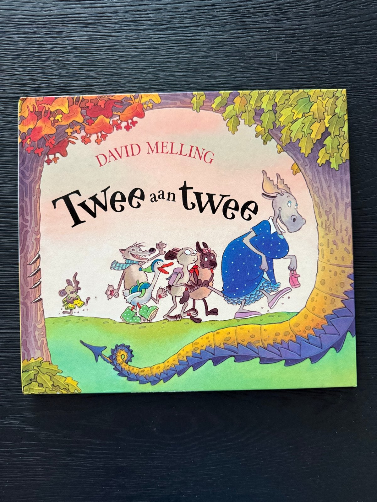 Twee aan twee - David Melling (Kinderboek), Fictie algemeen, Jongen of Meisje, Ophalen of Verzenden, Zo goed als nieuw