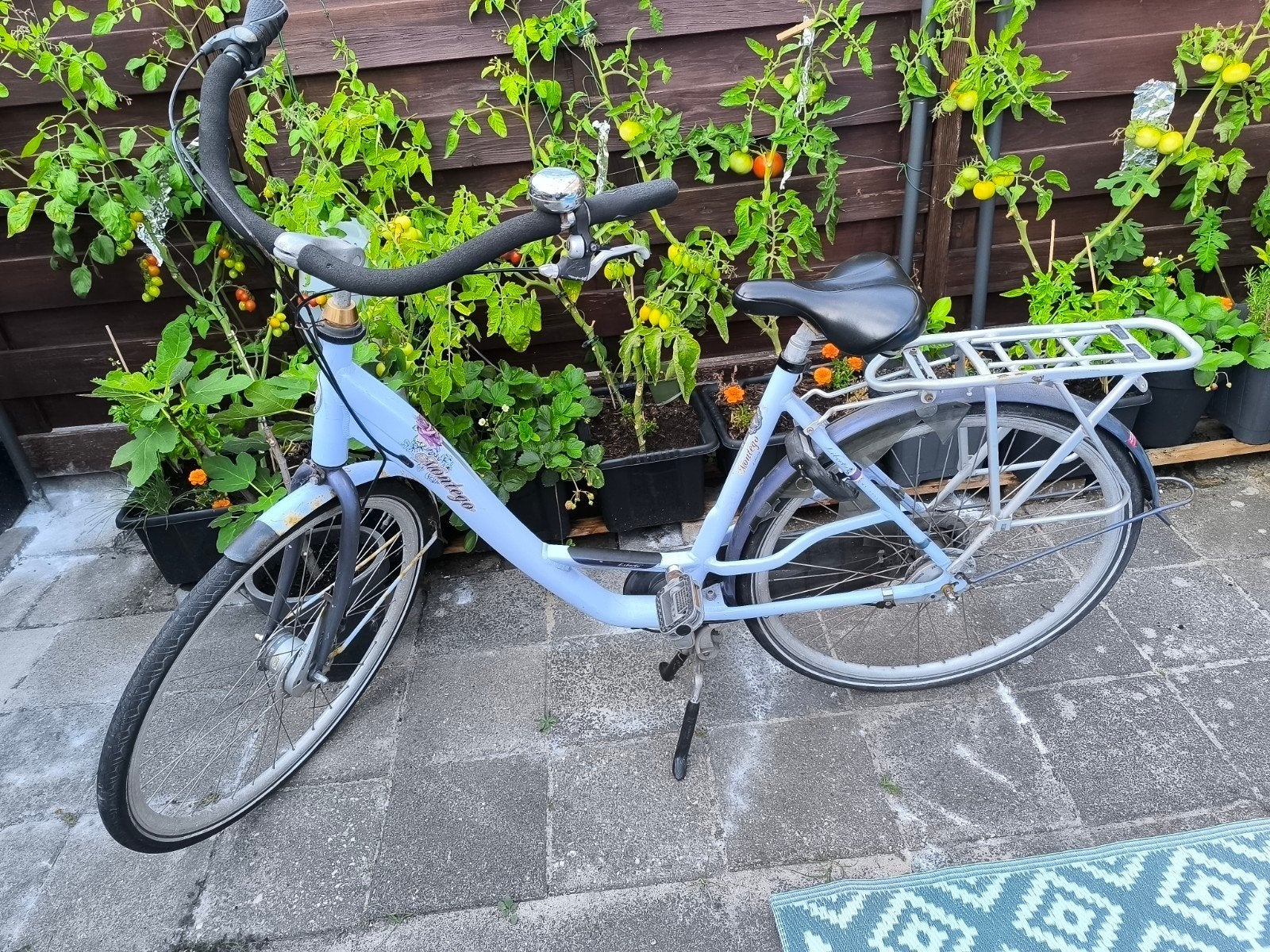 Montego Liberty My Style Moederfiets - Comfortabel en Stevig, Fietsen en Brommers, Fietsen | Dames | Moederfietsen, Dubbele standaard
