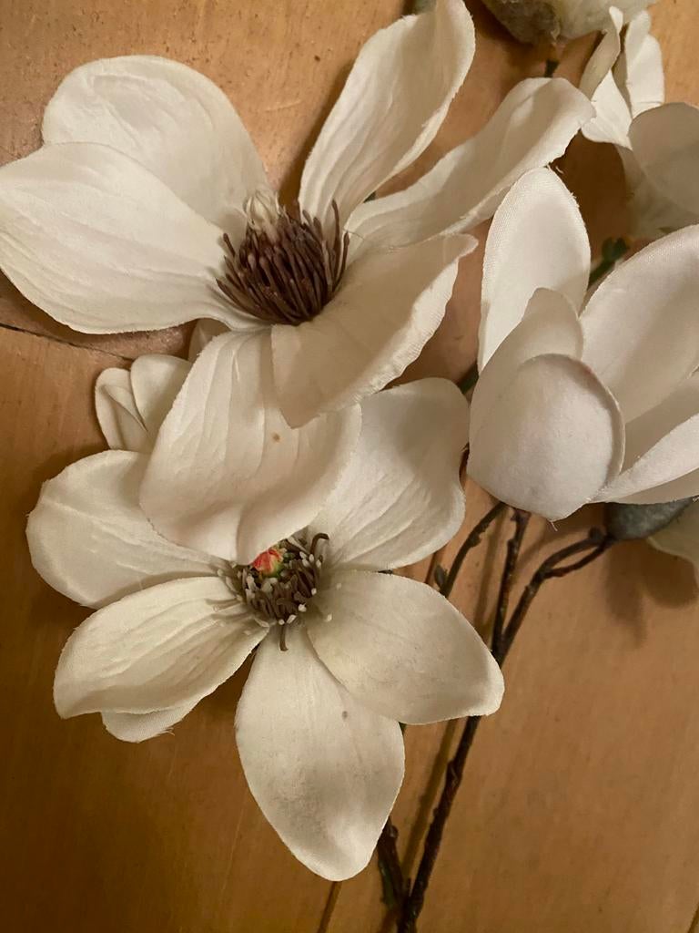 Riverdale Kunstbloemen Magnolia Wit - 3 takken, Binnen, Kunstbloem, Textiel, Ophalen of Verzenden
