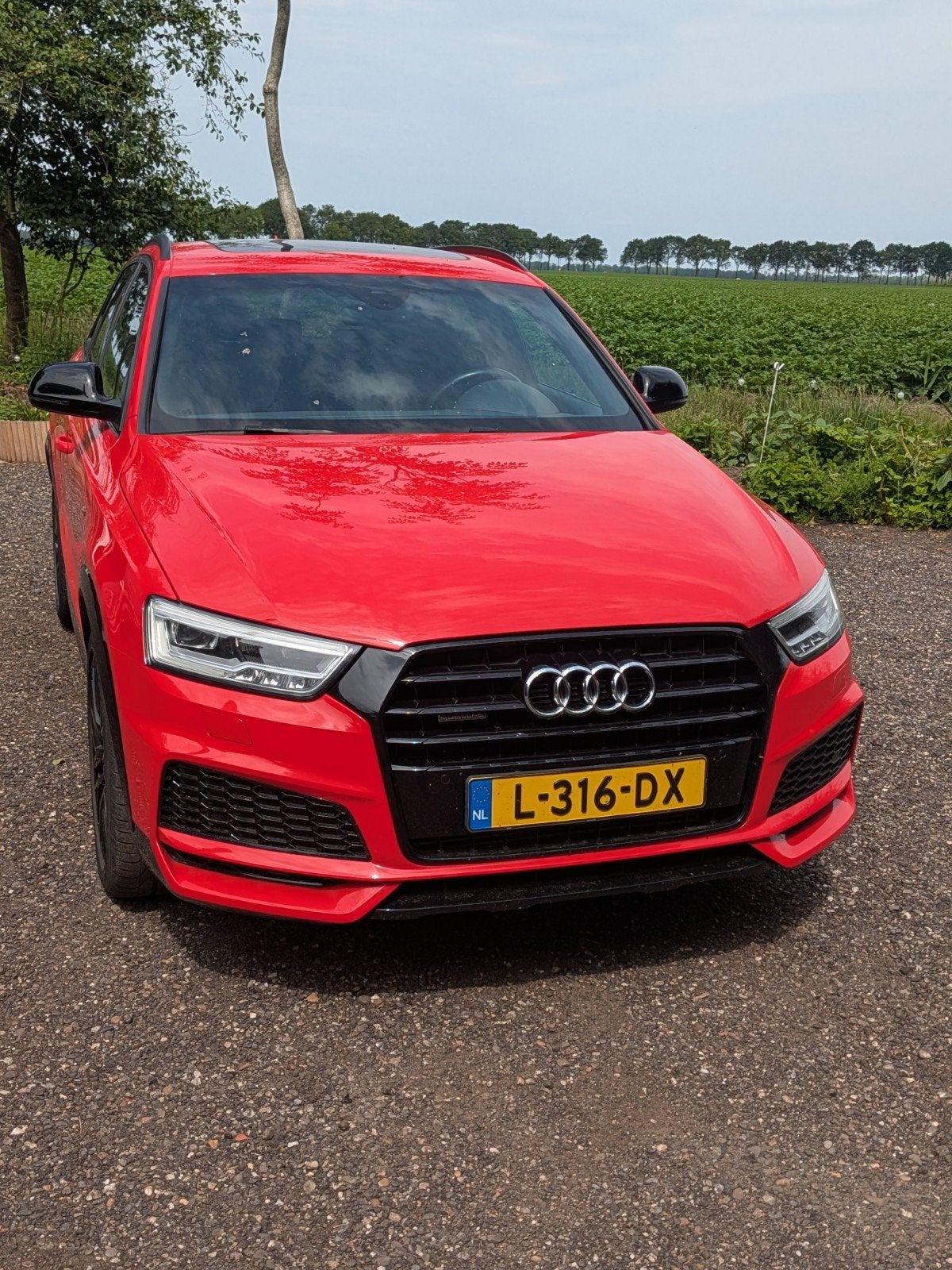 Audi Q3 2.0TFSI 132KW Quattro S-tr7 2017 Rood, Auto's, Audi, Particulier, Q3, Benzine, E, SUV of Terreinwagen, Automaat, Geïmporteerd
