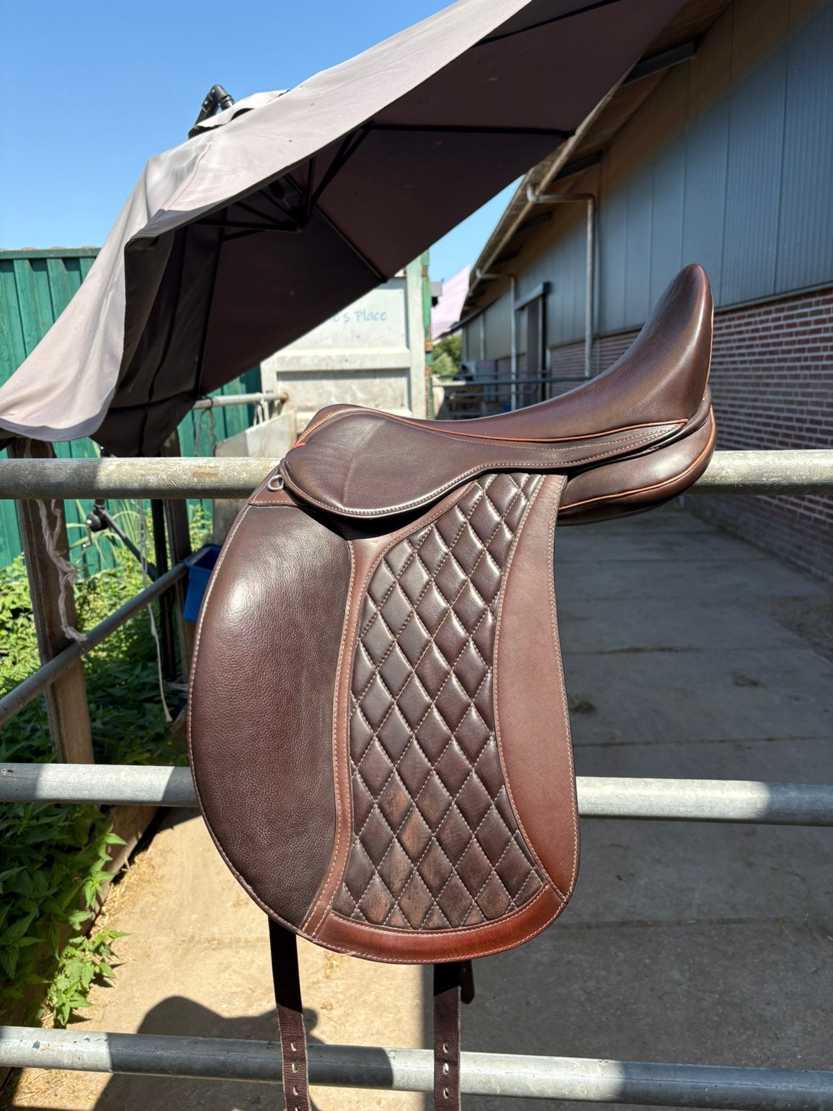 Bruin edix tudor 18’, Ophalen, Gebruikt, Dressuur