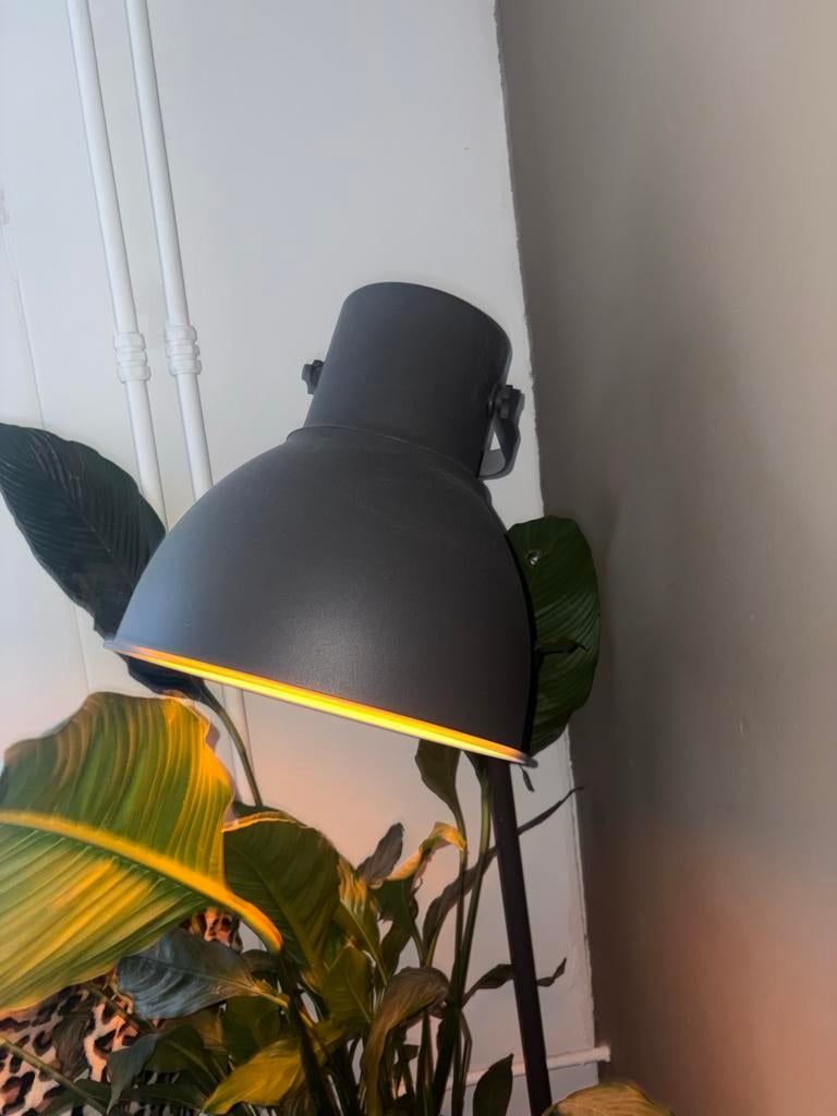 Mooie grijze staande lamp - perfecte sfeerverlichting, Ophalen, Zo goed als nieuw, Overige materialen, 100 tot 150 cm