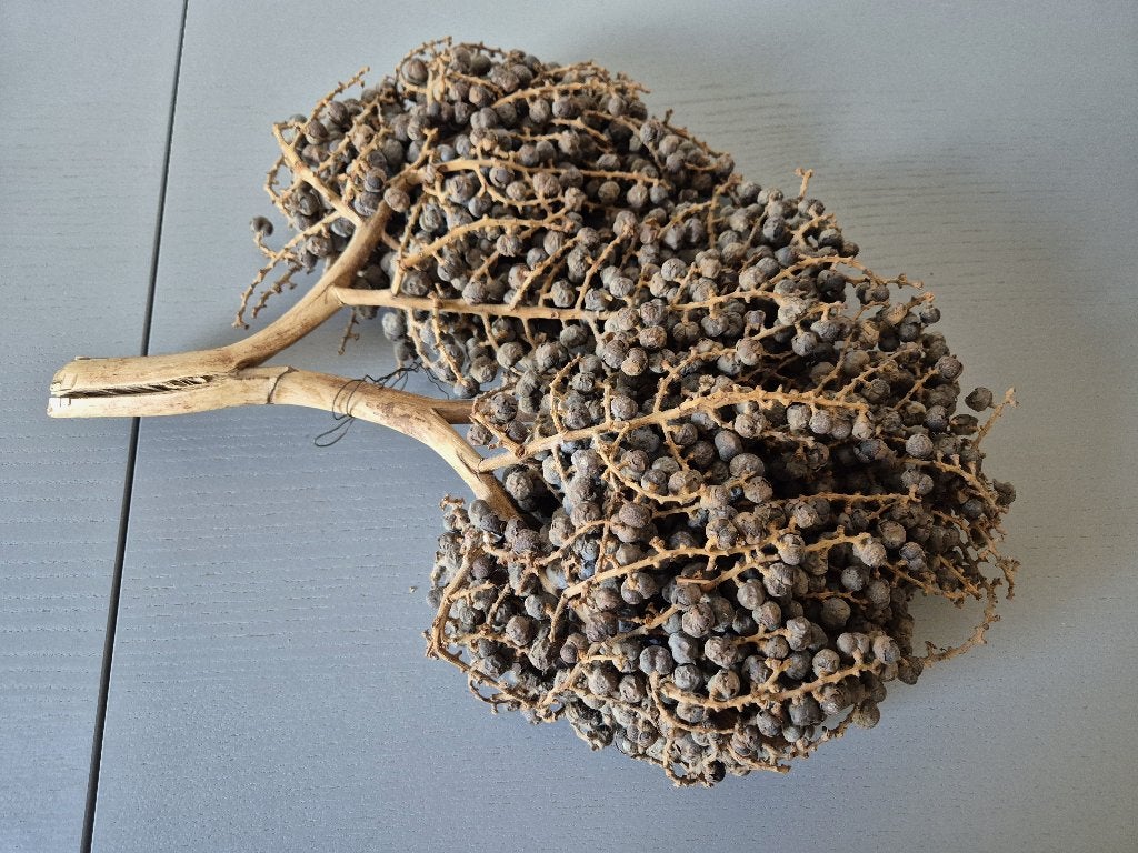 oude gedroogde druiventak, Ophalen, Gebruikt