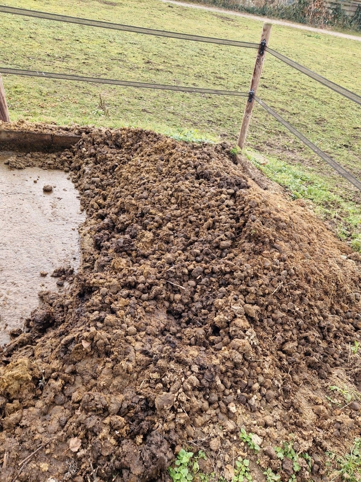 Paardenmest - gratis - ( zonder stro en zaagsel), Tuin en Terras, Aarde en Mest, Ophalen