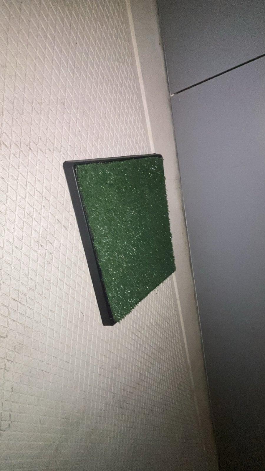 Honden toilet/ zindelijkheidstraining, puppypads, Dieren en Toebehoren, Ophalen of Verzenden, Nieuw