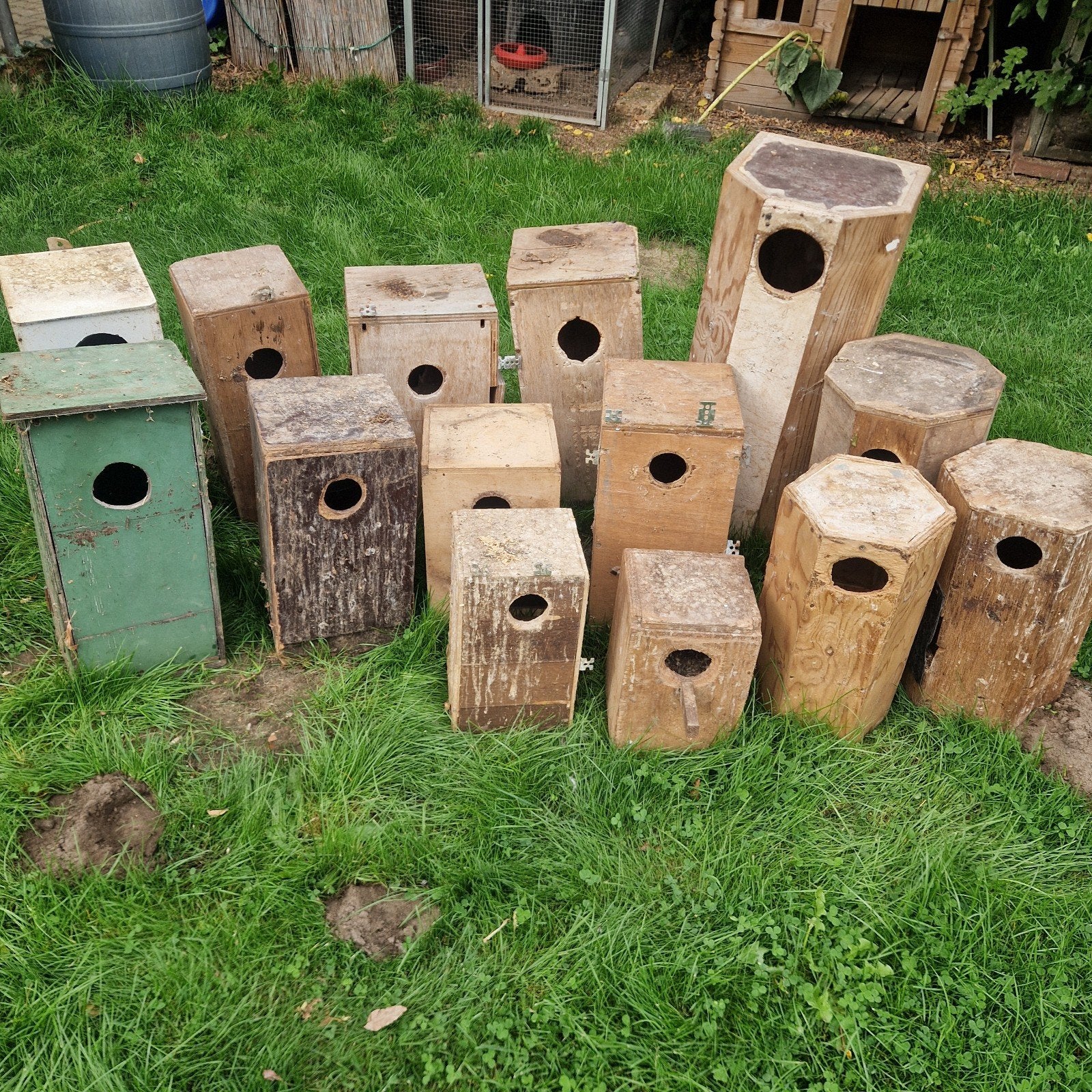 broedblokken broed blokken, Ophalen of Verzenden, Gebruikt, Hout, Broedkooi of Kweekkooi