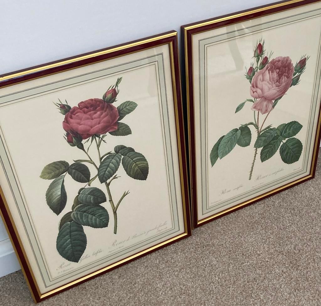 Vintage - PJ Redoute Botanical rozen prints in lijst, Ophalen of Verzenden, Zo goed als nieuw, Hout, Minder dan 50 cm