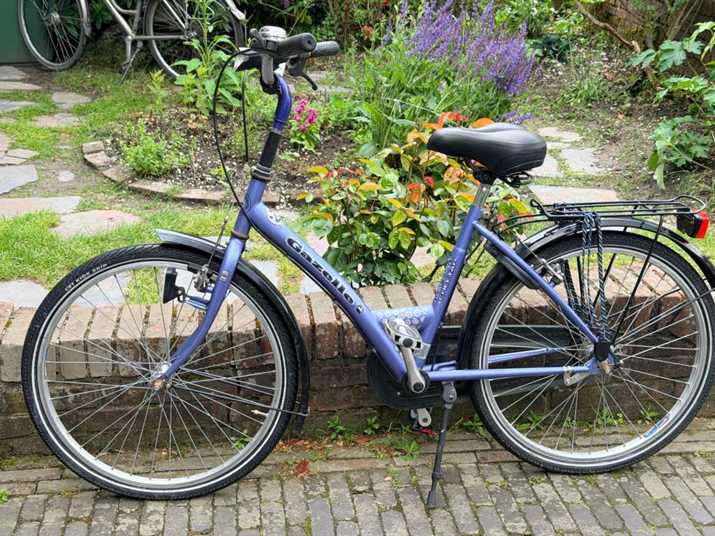 Gazelle Cheetah 24 inch kinderfiets, Fietsen en Brommers, Fietsen | Meisjes, Ophalen, Terugtraprem, Handrem, Gebruikt