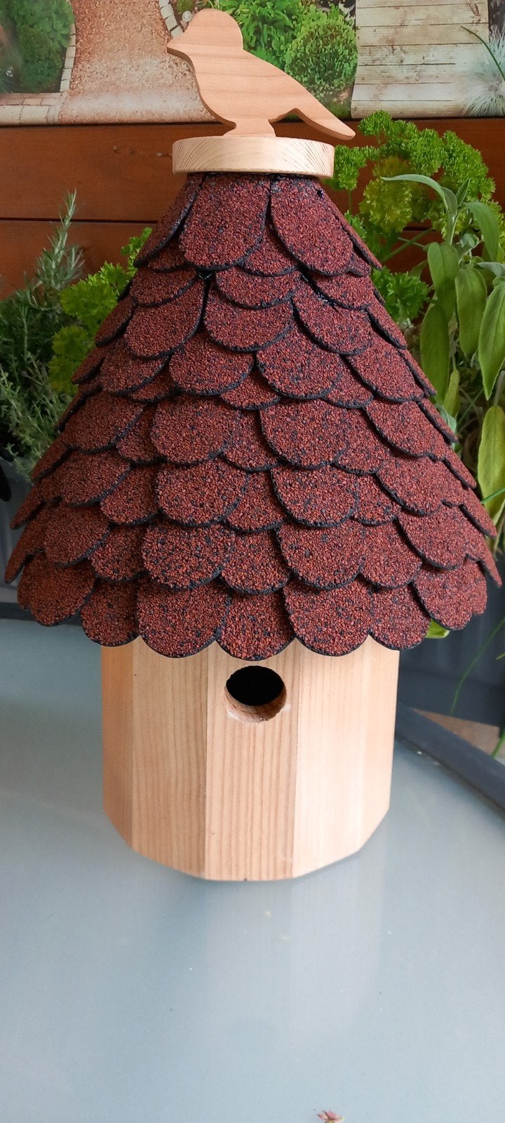 Broedhokjes. douglas en vuren hout, Ophalen of Verzenden, Nieuw, Kooi-accessoires