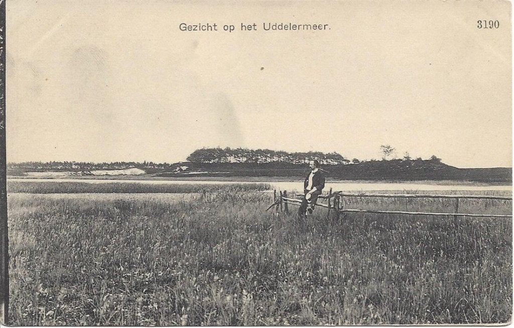 Uddel (Gld.) Gezicht op het Uddelermeer. Uitg. Nauta 3190, Ophalen of Verzenden, Voor 1920, Ongelopen, Gelderland