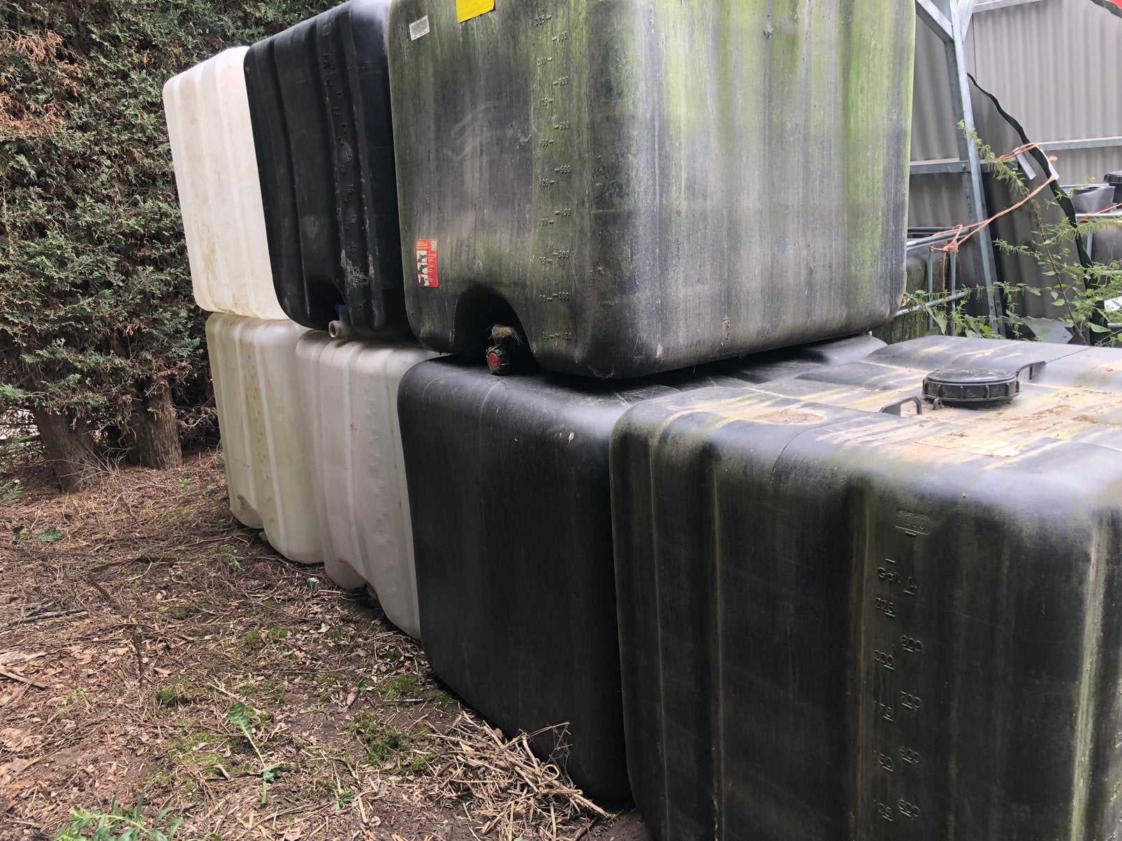 Ibc vaten, Tuin en Terras, Regentonnen, 150 liter of meer, Ophalen, Gebruikt